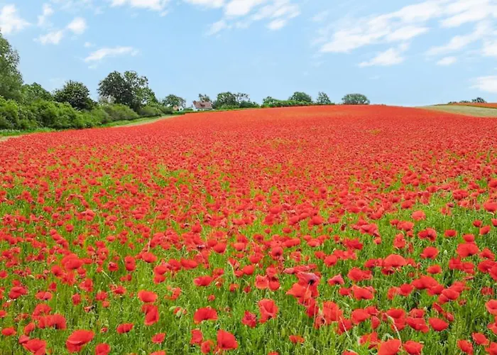 Semesterbostad Huehnergott