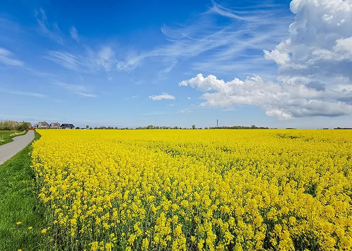 Huehnergott Semesterbostad *